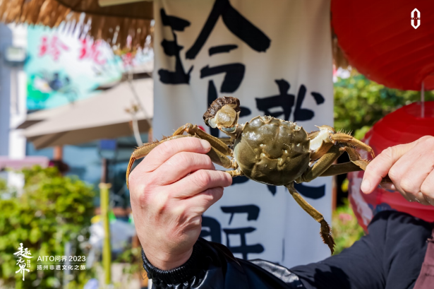 AITO问界丨智驾随心 探古寻今，慢品广陵烟火